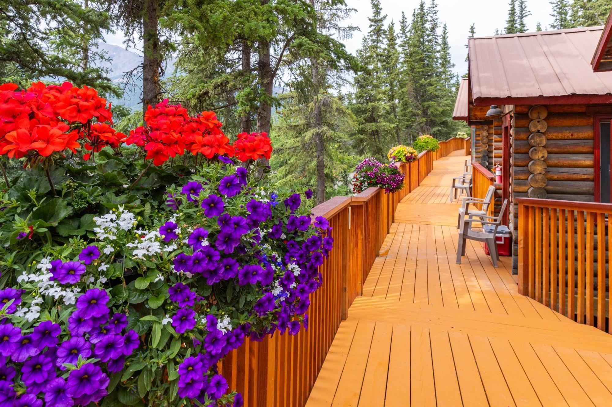 Denali Crow'S Nest Cabins Denali Park المظهر الخارجي الصورة
