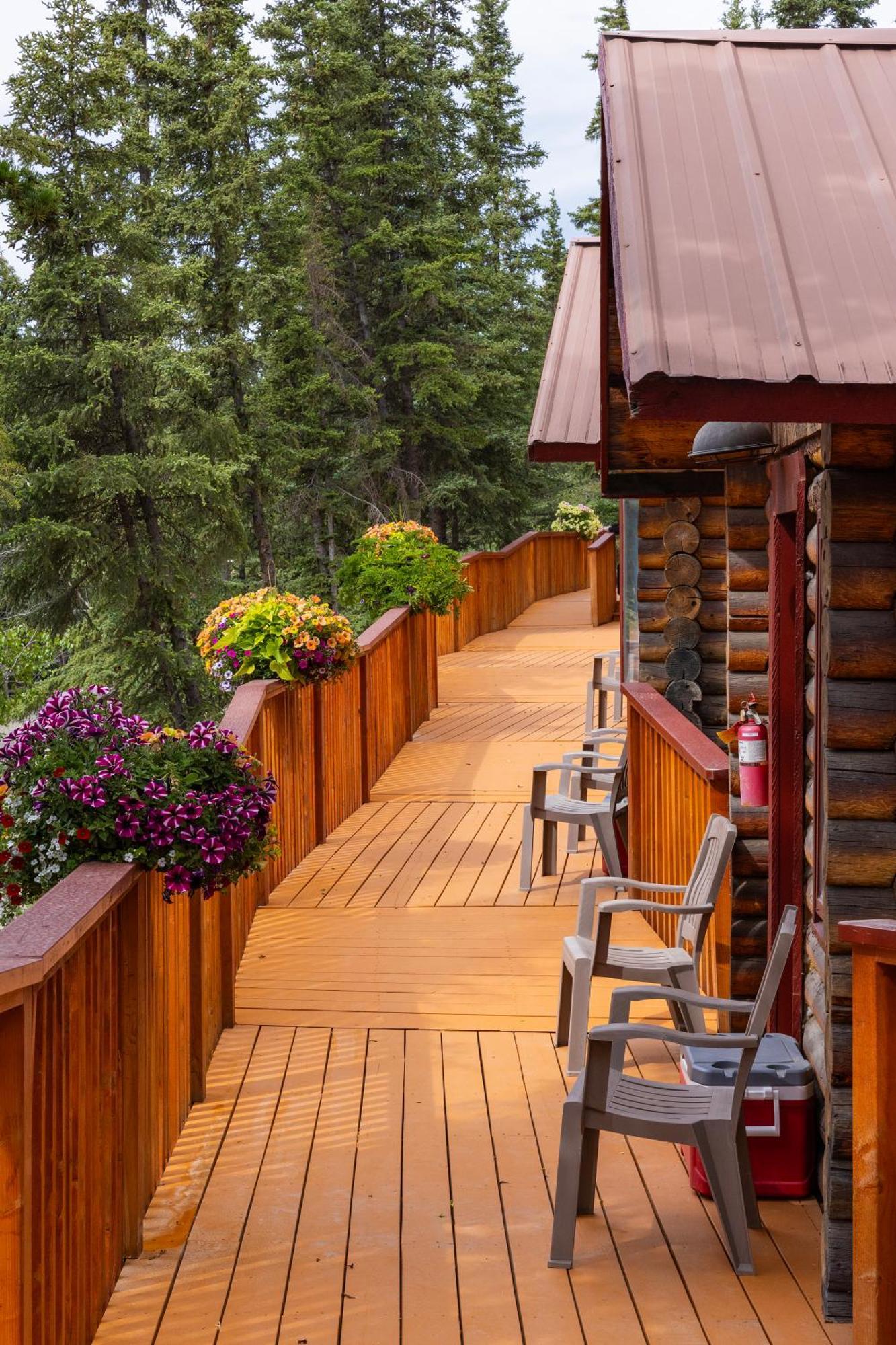 Denali Crow'S Nest Cabins Denali Park المظهر الخارجي الصورة