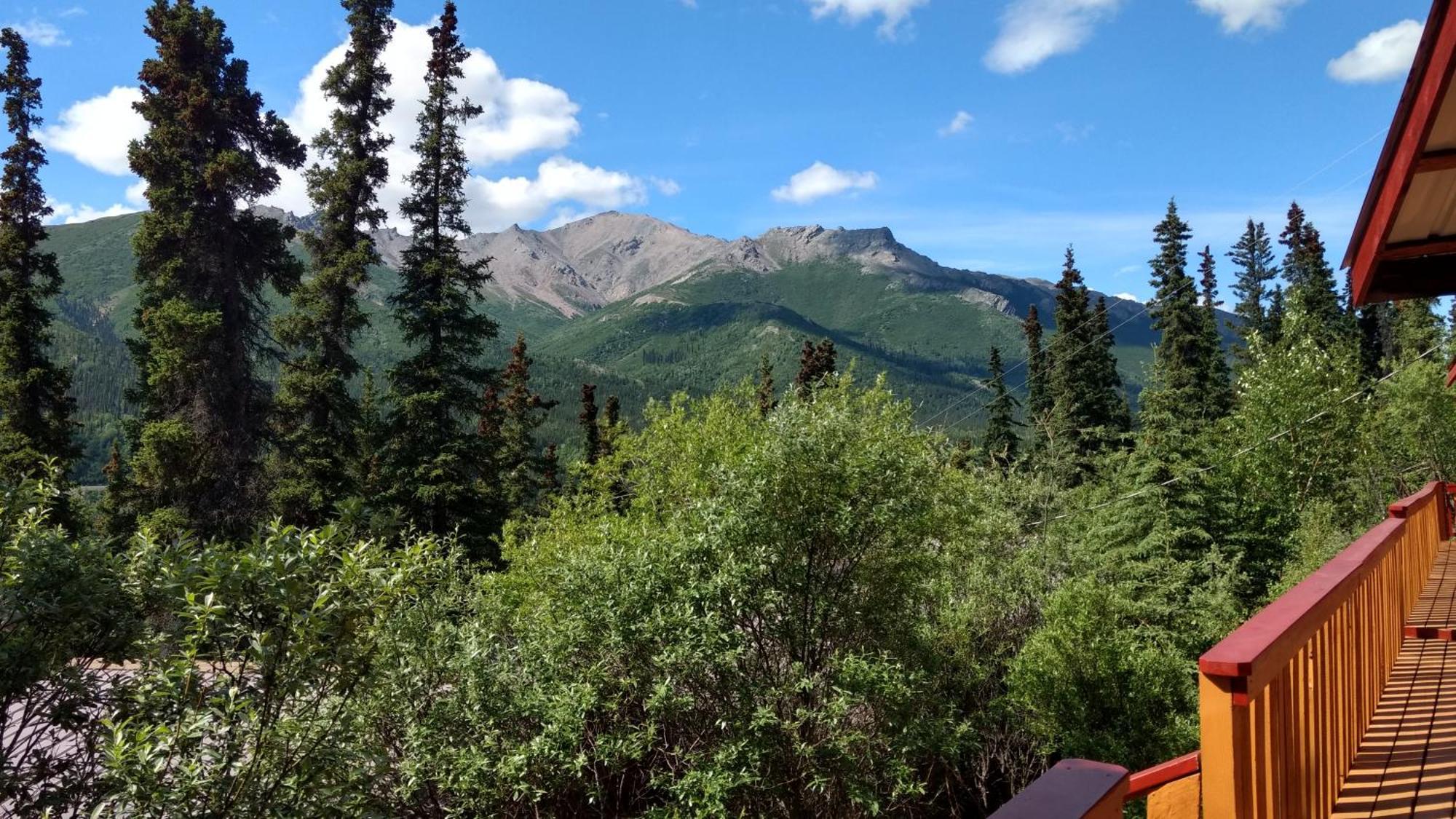 Denali Crow'S Nest Cabins Denali Park المظهر الخارجي الصورة